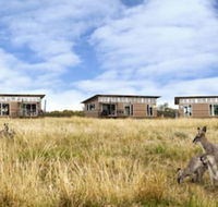 Savannah Cabins - Accommodation Bookings