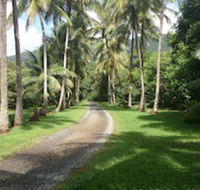 Cape Trib Farmstay - Accommodation Bookings