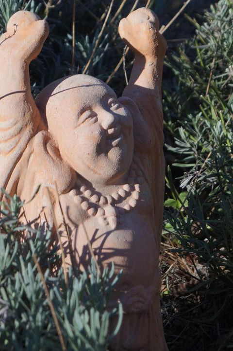 Snowgums In Katoomba - Accommodation Bookings 2