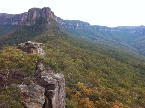Snowgums In Katoomba - Accommodation Bookings 4