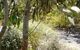 Snowgums In Katoomba - thumb 6