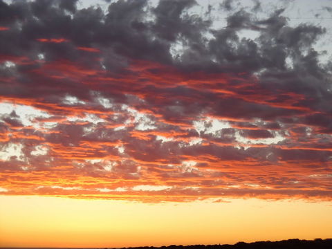 On The Deck @ Shark Bay - Accommodation Bookings 6