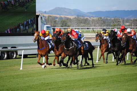 Airlie House Motor Inn - Accommodation Bookings 4