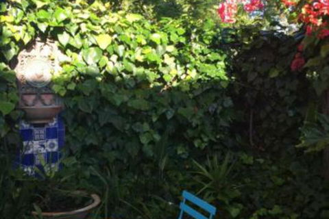 Jerningham Street Cottage - Accommodation Bookings 4