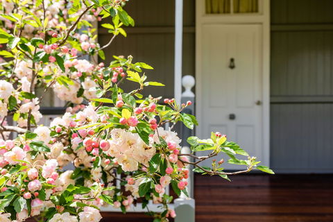 Apple Blossom Cottage - Accommodation Bookings 0