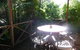 Orchard Garden - thumb 3