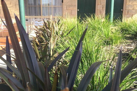 Mulwala Paradise Palms Motel - Accommodation Bookings 3