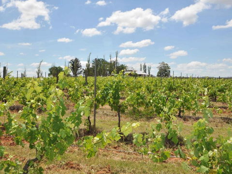 Beggars Bridge Vineyard Homestead W / Pool + Wifi + Tennis + Vineyard - Accommodation Bookings 1