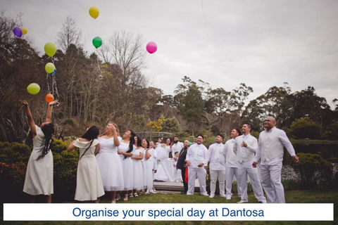 Dantosa Blue Mountains Retreat - Accommodation Bookings 5