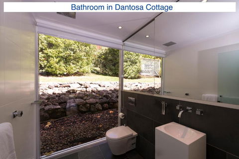 Dantosa Blue Mountains Retreat - Accommodation Bookings 2