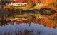 Dantosa Blue Mountains Retreat - thumb 1