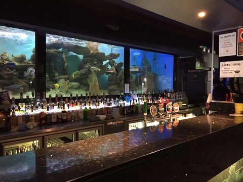 Harp Hotel - Accommodation Bookings 4