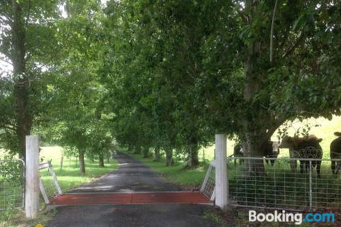Whispers At Cedar Grove - Accommodation Bookings 7