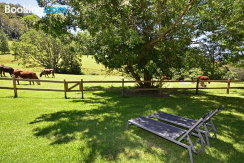 Whispers At Cedar Grove - Accommodation Bookings 5
