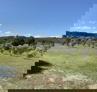 Hunter Homestead - Accommodation Bookings