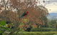 The Studio Yarra Valley - thumb 4