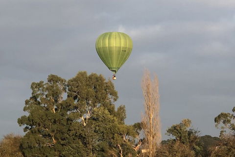 The Studio Yarra Valley - Accommodation Bookings 5