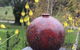 The Studio Yarra Valley - thumb 2