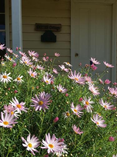 Smiths Cottage - Accommodation Bookings 6
