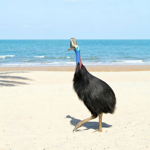 Ocean Serenity - Accommodation Bookings 3