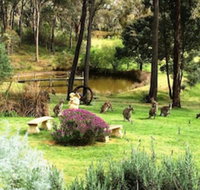 Countryside Connections Tranquil Studio - Accommodation Bookings