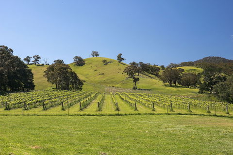 Blue House At Mountainside Wines - Accommodation Bookings 1