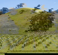 Blue House at Mountainside Wines - Accommodation Bookings