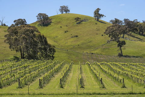 Blue House At Mountainside Wines - Accommodation Bookings 0