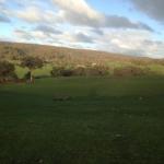 Mancuso Country Cottage Retreat - Accommodation Bookings 0