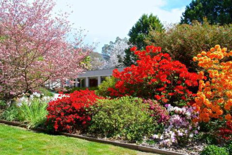 Grevillea Gardens Apartments - Accommodation Bookings 7