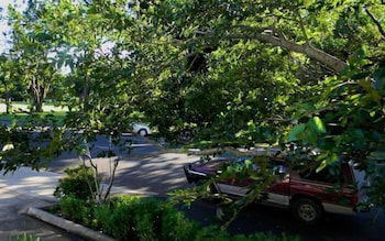 Glenellen Bed And Breakfast - Accommodation Bookings 0