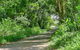 Coorabell Cottages - thumb 1