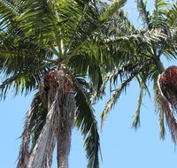 Tri Byron Bay - Accommodation Bookings