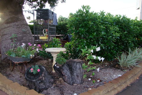 Acacia Motel - Accommodation Bookings 2