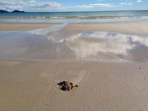 Sisters Beach House - Accommodation Bookings 6