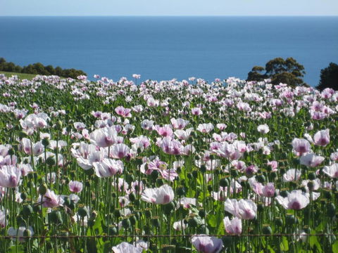 Sisters Beach House - Accommodation Bookings 3