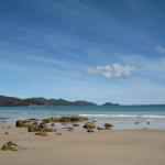 Sisters Beach House - Accommodation Bookings 0