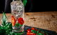 Machiavelli Restaurant - thumb 0