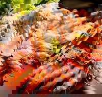 Table 30 - Accommodation Bookings