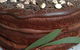Arimia Restaurant And Winery - thumb 18