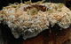 Arimia Restaurant And Winery - thumb 19
