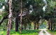 Arimia Restaurant And Winery - thumb 7