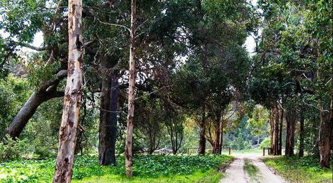 Arimia Restaurant And Winery - Accommodation Bookings 7