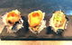 NINE 50 Restaurant & Bar - thumb 6