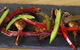 Tapas Tapas Bodega - thumb 18
