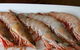 Tapas Tapas Bodega - thumb 22