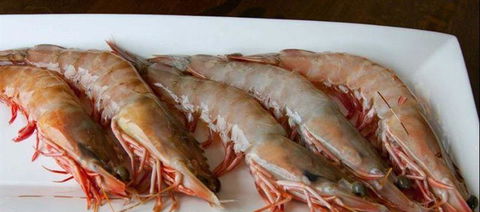 Tapas Tapas Bodega - Accommodation Bookings 22