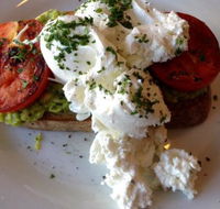 Monkey Can Fly Cafe - Accommodation Bookings