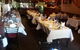 Ameer Tandoori Restaurant - thumb 0