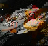 Lion Dance - Accommodation Bookings